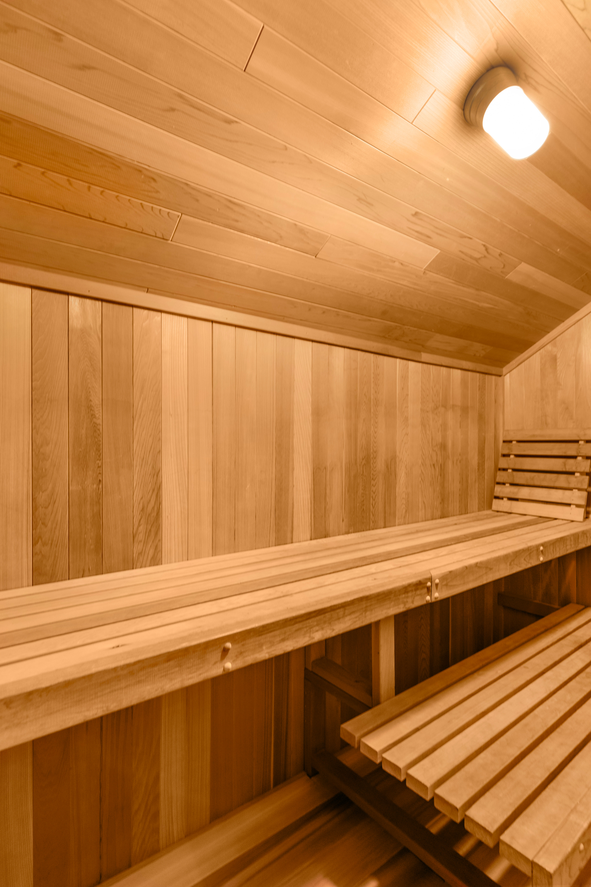 The Beverly Tree House — photo 33